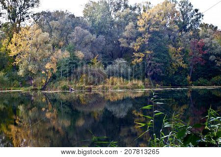 Autumn Rechka Psel - will be an excellent gadget screensaver