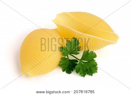 Italian lumaconi with leaf parsley isolated on white background. Lumache, snailshell shaped pasta.