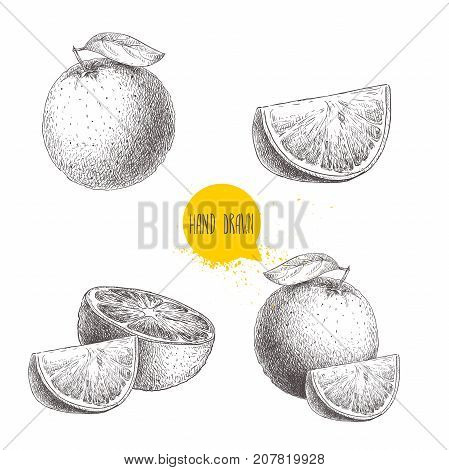 Hand drawn sketch style orange fruit compositions set. Whole fruit and slices. Vector citrus fruit illustration isolated on white background.