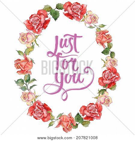 Wildflower rose flower wreath in a watercolor style. Full name of the plant: rose. Aquarelle wild flower for background, texture, wrapper pattern, frame or border.