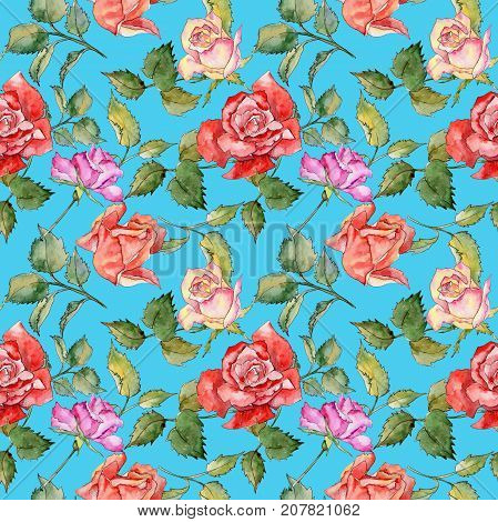 Wildflower rose flower pattern in a watercolor style. Full name of the plant: rose. Aquarelle wild flower for background, texture, wrapper pattern, frame or border.