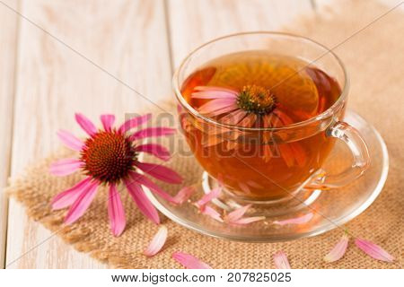 Cup of echinacea tea on white wooden table.