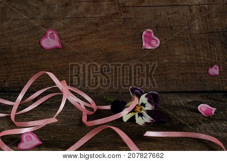 Valentine's Day. Pansies with hearts and ribbons
