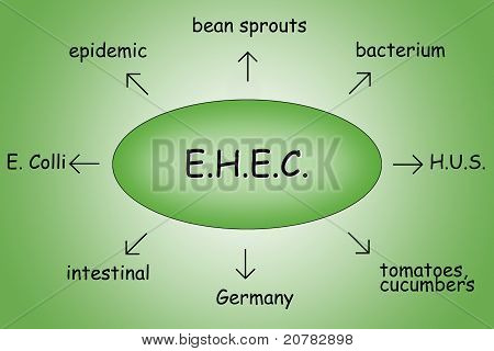 Diagram epidemii EHEC