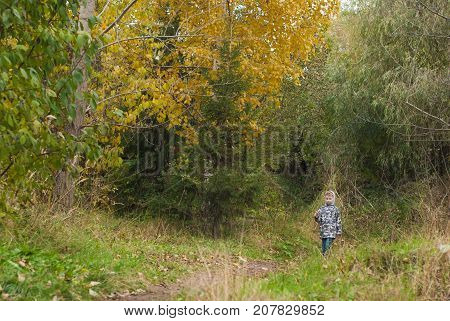 Little boy in autumn Park, the child goes on the trail in the woods, the beauty of the fall season, a happy childhood