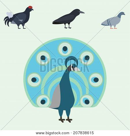Bird species collection different vector illustration wild, animal characters cute fauna tropical feather pets. Pigeon dove eagle owl sparrow flamingo pheasant parrot toucan avifauna
