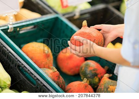 Female hands hold ripe and fresh vegetables. Tasty vegetables and fruits for consumers. Close-up of vegetable. Food concept.