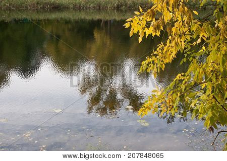 Autumn Rechka Psel - will be an excellent gadget screensaver