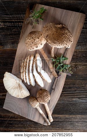 Macrolepiota Procera Is A Very Tasty Edible Mushroom