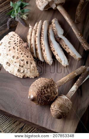 Macrolepiota Procera Is A Very Tasty Edible Mushroom