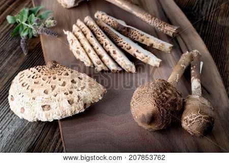 Macrolepiota Procera Is A Very Tasty Edible Mushroom