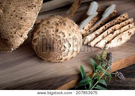 Macrolepiota Procera Is A Very Tasty Edible Mushroom