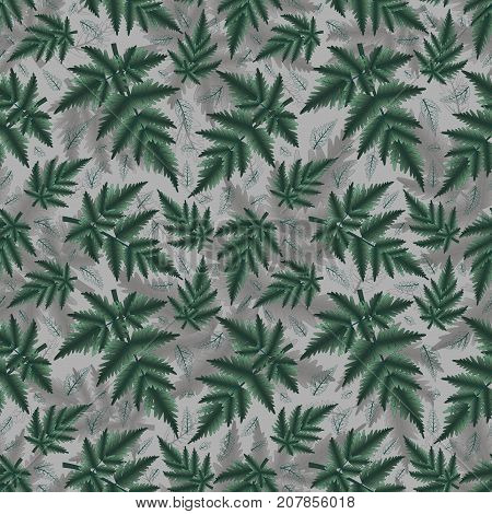 Illustration of seamless floral pattern with fern branches
