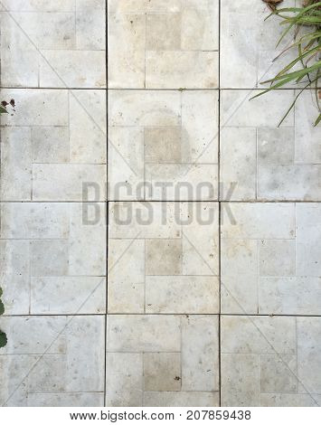 gray concrete tile with grass on the edge in the garden in autumn, like a texture