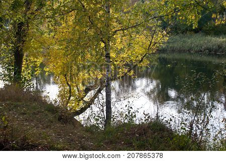 Autumn Rechka Psel - will be an excellent gadget screensaver