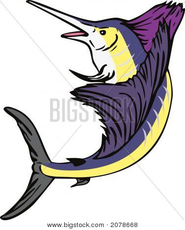 กระโจน sailfish