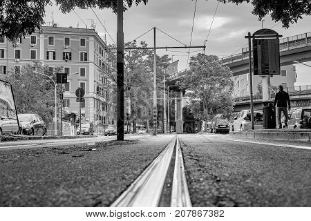 Tram Rails