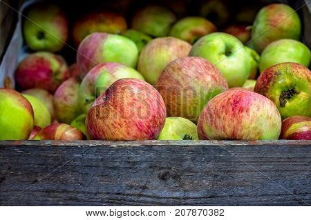 Fresh red and green apples for sale stored in retro grunge basket in the market