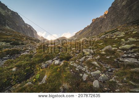 Mountain Landscape with Rocks and Plants in Foreground at Sunset. Velicka Valley High Tatra Slovakia.
