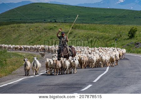 Sheep Herder With His Flock On The Road In Armenia
