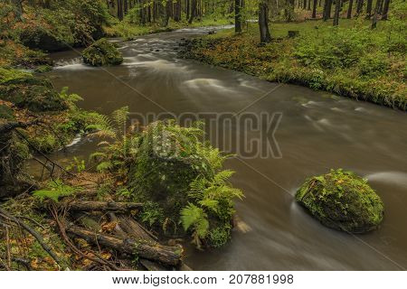 Chribska Kamenice river in national park Ceske Svycarsko in autumn morning