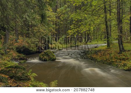 Chribska Kamenice river in national park Ceske Svycarsko in autumn morning