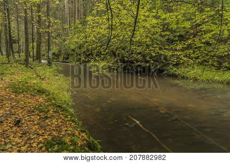 Chribska Kamenice river in national park Ceske Svycarsko in autumn morning