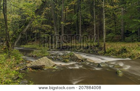 Chribska Kamenice river in national park Ceske Svycarsko in autumn morning