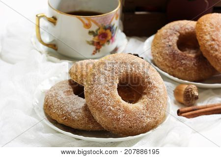 Baked Cinnamon sugar Apple cider Doughnuts / Donuts on dark moody background