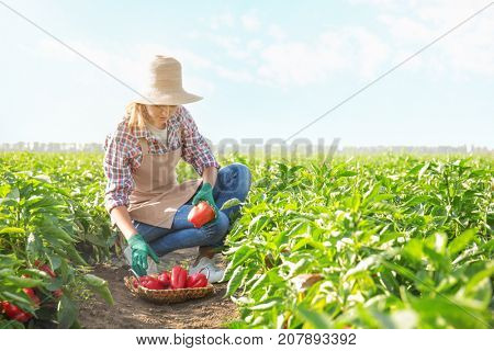 Female farmer working in field