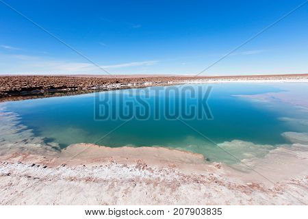 beautiful landscape view of salty lagoon in lagunas escondidas park in atacama desert chile