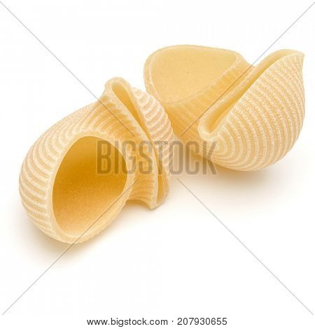 Italian lumaconi isolated on white background. Lumache, snailshell shaped pasta.