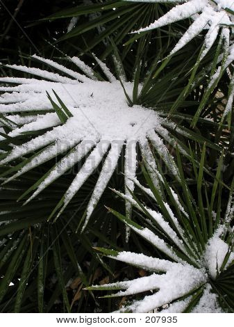 Schnee-Muster