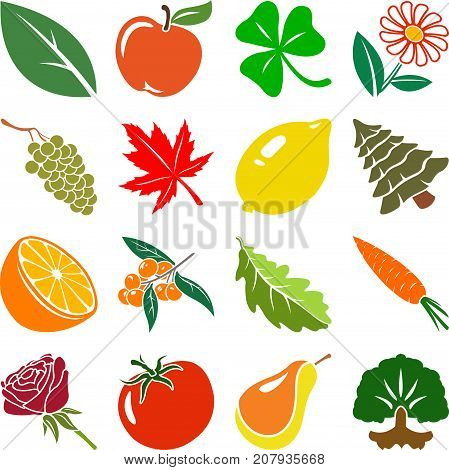 Vector colored nature icons on white background