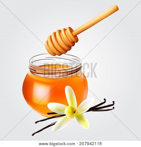 Realistic honey jar with honey dipper and vanilla. Vector icon