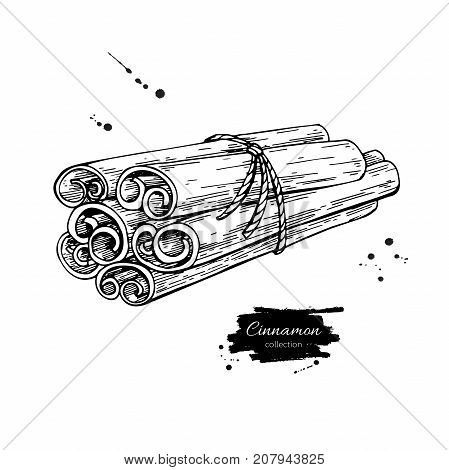 Cinnamon stick tied bunch Vector drawing. Hand drawn sketch. Seasonal food illustration isolated on white. Engraved style spice and flavor object. Cooking and aromaterapy ingredient.