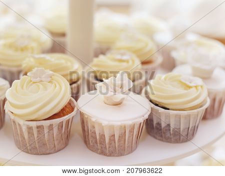 Wedding bakery food - sweet white capcake