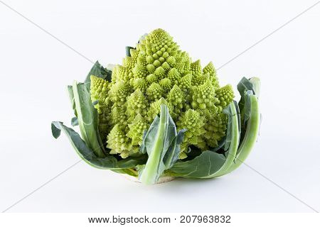 Romanesco broccoli vegetable represents a natural fractal pattern and is rich in vitimans. First documented in Italy originating from the Brassica oleracea family.