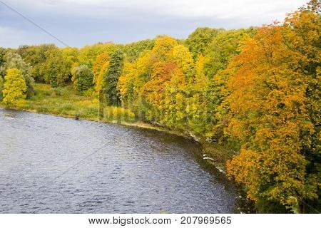 autumn background with colored leaves of the tree and river onbackground