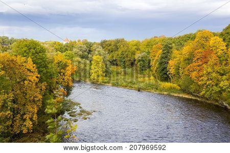 autumn background with colored leaves of the tree and river onbackground
