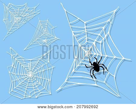 Spider web silhouette arachnid fear graphic flat scary animal poisonous design nature phobia insect danger horror tarantula halloween vector icon. Creepy warning symbol poison silhouette.