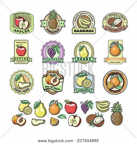 Fruit logo templates labels with sample text groceries badge agriculture stores packaging foodadvertising vector illustration. Fresh design health market product.
