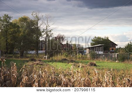 Autumn. The corn has matured for a long time and the overhanging clouds complete the cycle.