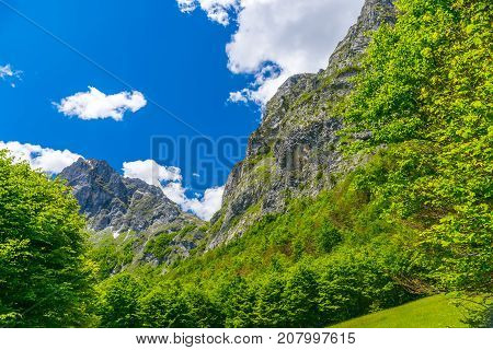 Picturesque Snow-capped Peaks Of High Mountains.