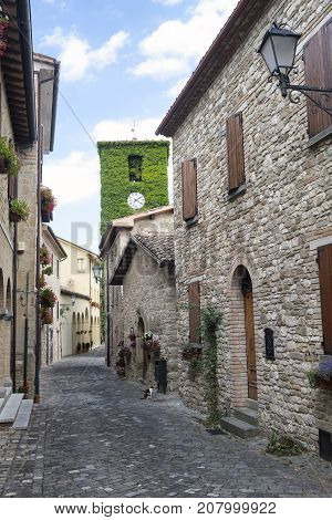 Frontino historic village in Montefeltro Pesaro Urbino Marches Italy). A street with the typical houses with plants and flowers