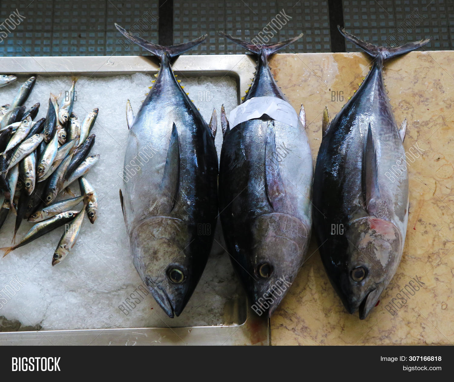 Fresh Tuna Sardines Image & Photo (Free Trial) Bigstock