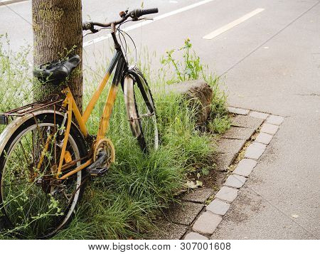 An Old Broken Bicycle Left Against A Streetside Tree Trunk. Conceptual Image For Urban Transprtation