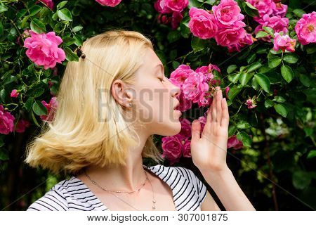 Aroma Of Roses. Girl Adorable Blonde Sniffing Fragrance Of Pink Bloom. Spring And Summer. Perfume An