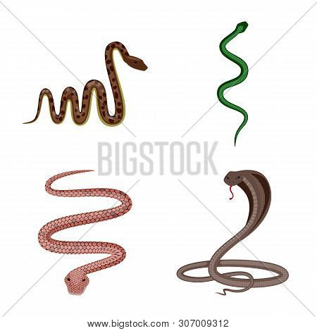 Vector Illustration Of Poison And Evil Logo. Set Of Poison And Bite Stock Vector Illustration.