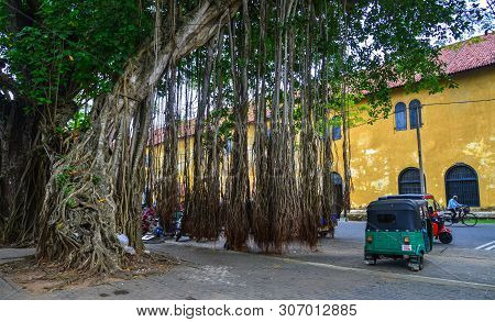 Old Street Of Galle, Sri Lanka